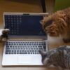 わからない図