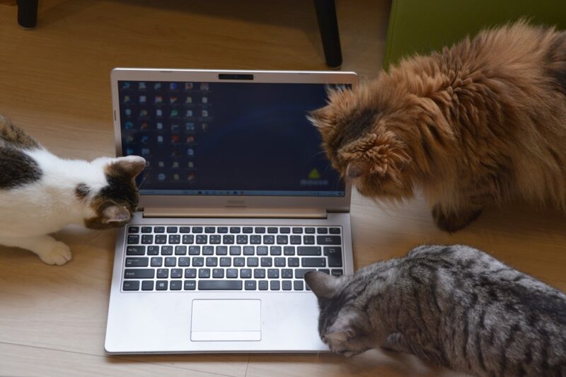 わからない図